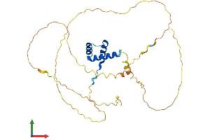 AlphaFold protein structure predicition of Human Recombinant MEOX2 Protein, UniprotID P50222