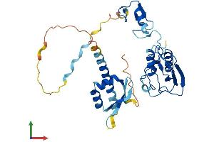 AlphaFold protein structure predicition of Mouse Recombinant Dtx3 Protein, UniprotID Q80V91 (Deltex Homolog 3 Protein (AA 1-347) (His tag))