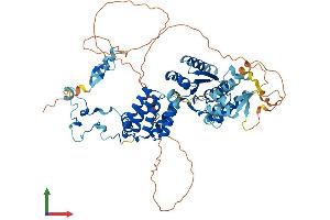Protein Structure (PS) image for Werner Helicase Interacting Protein 1 (WRNIP1) (AA 1-665) protein (His tag) (ABIN7545195)