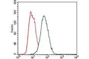 Flow cytometric analysis of HeLa cells using HEXA mouse mAb (green) and negative control (red). (Hexosaminidase A antibody)