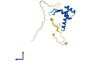 Protein Structure (PS) image for Distal-Less Homeobox 6 (DLX6) (AA 1-175) protein (His tag) (ABIN7547118)