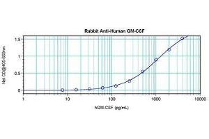 Image no. 4 for anti-Colony Stimulating Factor 2 (Granulocyte-Macrophage) (CSF2) antibody (ABIN465581) (GM-CSF antibody)