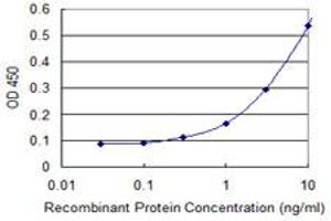 Detection limit for recombinant GST tagged DHX9 is 0. (DHX9 antibody  (AA 1-90))