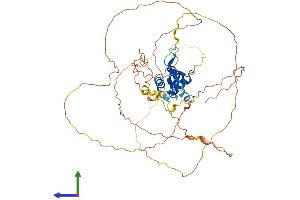 AlphaFold protein structure predicition of Human Recombinant FOXD2 Protein, UniprotID O60548