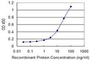 Detection limit for recombinant GST tagged HERPUD1 is 0. (HERPUD1 antibody  (AA 1-391))