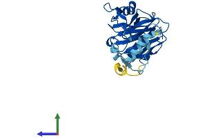 AlphaFold protein structure predicition of Mouse Recombinant Spsb4 Protein, UniprotID Q8R5B6