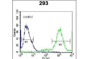 Ufc1 Antibody (C-term) (ABIN650703 and ABIN2839221) flow cytometric analysis of 293 cells (right histogram) compared to a negative control cell (left histogram). (UFC1 antibody  (C-Term))