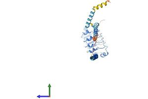 AlphaFold protein structure predicition of Mouse Recombinant Lrrc59 Protein, UniprotID Q922Q8
