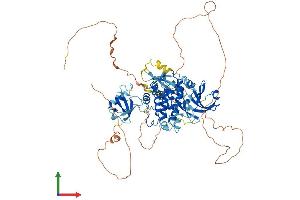 Protein Structure (PS) image for Doublecortin-Like Kinase 1 (DCLK1) (AA 1-756) protein (His tag) (ABIN7561680)