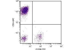 Human peripheral blood lymphocytes were stained with Mouse Anti-Human CD3-PE. (CD3 antibody  (PE))