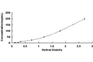 Typical standard curve (Anti-Glutamate Receptor, Ionotropic, N-Methyl-D-Aspartate 2A Antibody (Anti-GRIN2A) ELISA Kit)