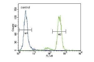 PKC alpha Antibody (C-term) (ABIN391001 and ABIN2841177) flow cytometric analysis of Hela cells (right histogram) compared to a negative control cell (left histogram). (PKC alpha antibody  (C-Term))