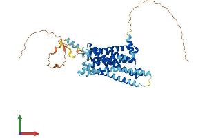 AlphaFold protein structure predicition of Human Recombinant MLNR Protein, UniprotID O43193 (Motilin Receptor Protein (MLNR) (AA 1-412) (His tag))