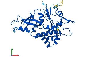 AlphaFold protein structure predicition of Mouse Recombinant Atg5 Protein, UniprotID Q99J83 (ATG5 Protein (AA 1-275) (His tag))