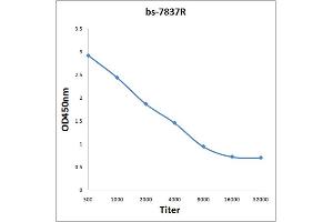 Antigen: 0. (MAPRE2 antibody  (AA 101-200))