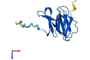 AlphaFold protein structure predicition of Mouse Recombinant Nhlrc4 Protein, UniprotID Q3UP44