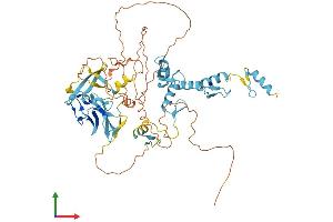Protein Structure (PS) image for PR Domain Containing 14 (PRDM14) (AA 1-561) protein (His tag) (ABIN7562125)