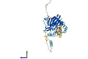 AlphaFold protein structure predicition of Mouse Recombinant P4htm Protein, UniprotID Q8BG58 (P4HTM Protein (AA 1-503) (His tag))