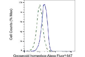 Validation of Goosecoid homeobox knockdown using flow cytometry.