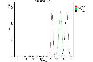 Flow Cytometry analysis of 293T cells using anti-COX5B antibody (ABIN7598975).