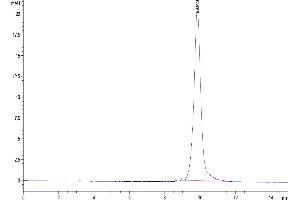 The purity of Biotinylated Human IL-3 is greater than 95 % as determined by SEC-HPLC.