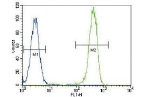 Anti-PCNA antibody flow cytometric analysis of HeLa cells (right histogram) compared to a negative control cell (left histogram). (PCNA antibody  (AA 89-117))