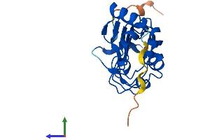 AlphaFold protein structure predicition of Mouse Recombinant Lrrc51 Protein, UniprotID Q9DAK8 (Leucine Rich Transmembrane and 0-Methyltransferase Domain Containing (LRTOMT) (AA 1-192) protein (His tag))