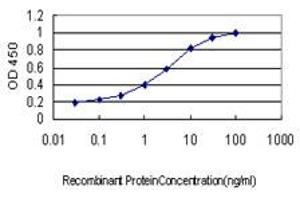 Detection limit for recombinant GST tagged PLAG1 is approximately 0. (PLAG1 antibody  (AA 2-99))