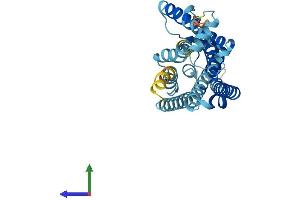 AlphaFold protein structure predicition of Human Recombinant OR4A8 Protein, UniprotID P0C604 (OR4A8 Protein (AA 1-315) (His tag))