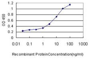 Detection limit for recombinant GST tagged PIGO is approximately 0. (PIGO antibody  (AA 1-454))