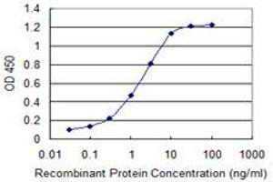 Detection limit for recombinant GST tagged CIR is 0. (KCNJ5 antibody  (AA 136-204))