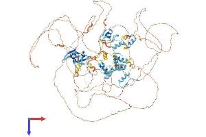 AlphaFold protein structure predicition of Mouse Recombinant Zfpm2 Protein, UniprotID Q8CCH7