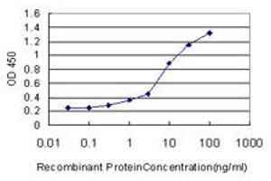 Detection limit for recombinant GST tagged PPARBP is approximately 0. (MED1 antibody  (AA 1391-1490))