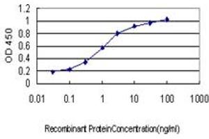 Detection limit for recombinant GST tagged NDST1 is approximately 0. (NDST1 antibody  (AA 38-136))
