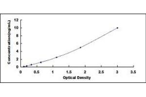 Typical standard curve (CDK1 ELISA Kit)