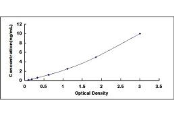 CDK1 ELISA Kit