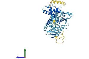 AlphaFold protein structure predicition of Human Recombinant PSMC3 Protein, UniprotID P17980 (PSMC3 Protein (AA 1-439) (His tag))
