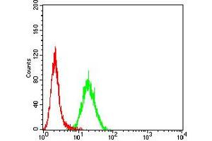 Flow cytometric analysis of Hela cells using ELANE mouse mAb (green) and negative control (red). (ELANE antibody  (AA 140-267))