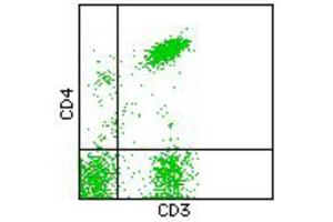 Flow Cytometry (FACS) image for anti-CD3/CD4 antibody (FITC,PE) (ABIN2144394) (CD3/CD4 antibody (FITC,PE))