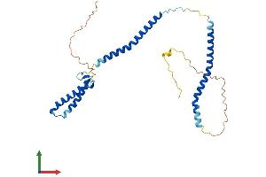 AlphaFold protein structure predicition of Human Recombinant NSL1 Protein, UniprotID Q96IY1 (NSL1 Protein (AA 1-281) (His tag))