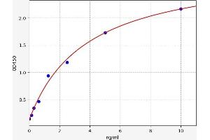 Typical standard curve (CXCR4 ELISA Kit)