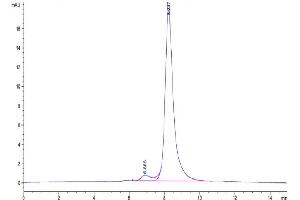 The purity of Mouse FSTL1 is greater than 95 % as determined by SEC-HPLC. (FSTL1 Protein (AA 19-306) (His tag))
