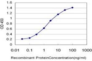 Detection limit for recombinant GST tagged SH2B is approximately 0. (SH2B1 antibody  (AA 327-426))