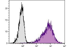 Con-A stimulated BALB/c mouse splenocytes were stained with Rat Anti-Mouse CD25-PE. (CD25 antibody  (PE))