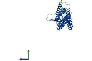 AlphaFold protein structure predicition of Mouse Recombinant Tspan33 Protein, UniprotID Q8R3S2 (TSPAN33 Protein (AA 1-283) (His tag))