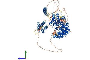 AlphaFold protein structure predicition of Human Recombinant GIT2 Protein, UniprotID Q14161