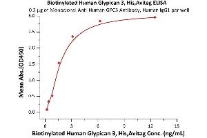 Immobilized Monoclonal A GPC3 Antibody, Human IgG1 at 2 μg/mL (100 μL/well) can bind Biotinylated Human Glypican 3, His,Avitag (ABIN5954920,ABIN6253640) with a linear range of 0.