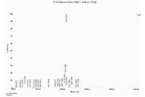 Image no. 3 for Follicle Stimulating Hormone, beta Polypeptide (FSHB) peptide (Ovalbumin) (ABIN5666180)