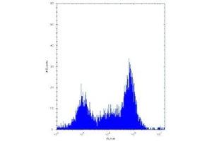 Pak4 antibody flow cytometric analysis of Neuro-2a cells. (PAK4 antibody  (AA 187-216))