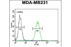 NEU1 Antibody (Center) (ABIN653650 and ABIN2842991) flow cytometric analysis of MDA-M cells (right histogram) compared to a negative control (left histogram). (NEU1 antibody  (AA 11-40))
